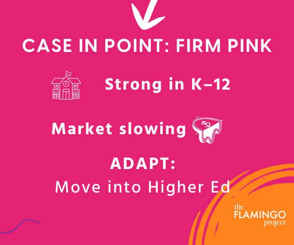 Growth-matrix-05 Graphic example showing Firm Pink’s choice: strong in K–12, market slowing, adapt to move into higher education.