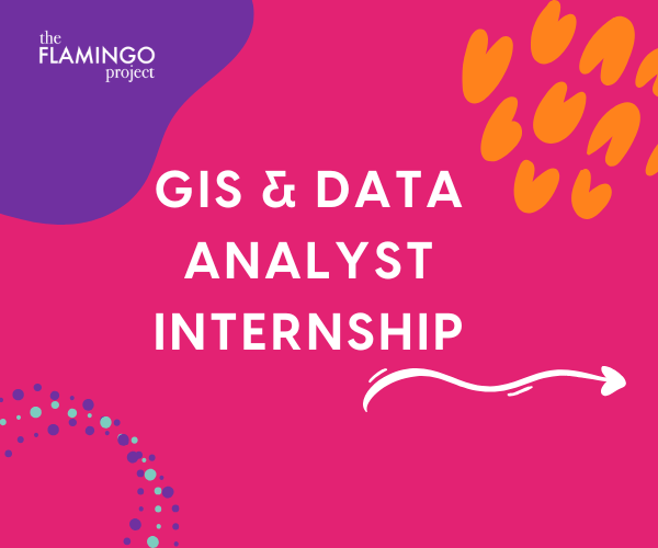 Opportunity-GIS The Flamingo Project GIS & Data Analyst Internship announcement in bold white text on a bright pink background with abstract shapes.