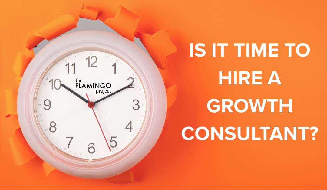 IS IT TIME TO HIRE A GROWTH CONSULTANT?
