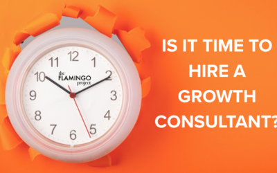 IS IT TIME TO HIRE A GROWTH CONSULTANT?