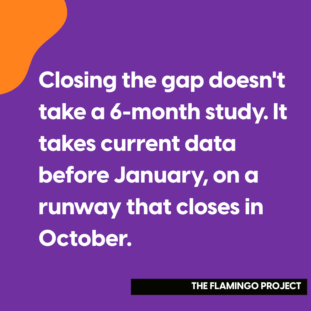 Graphic reading: closing the gap doesn't take a 6-month study, it takes current data before January, on a runway that closes in October. The Flamingo Project.