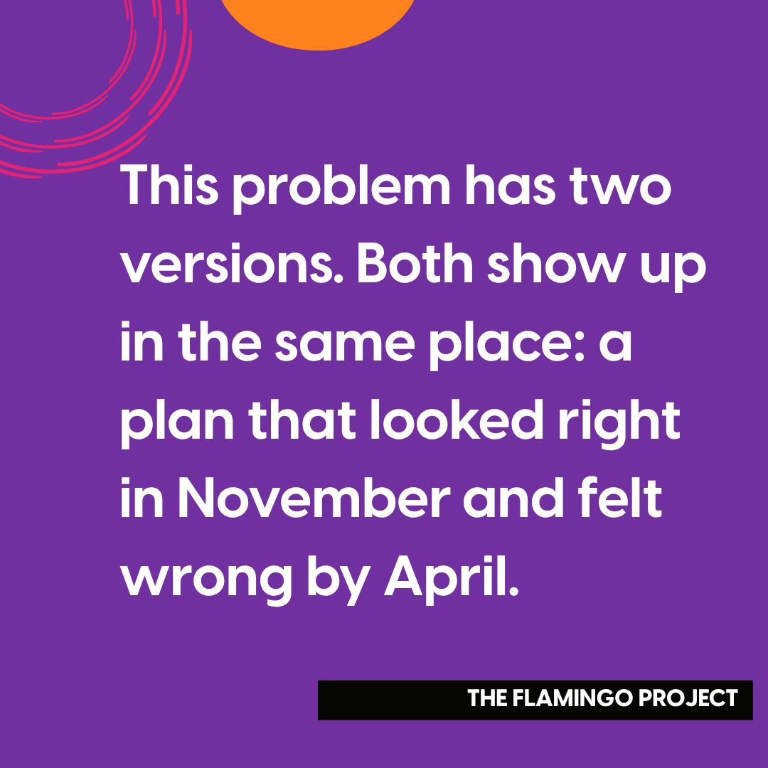 Graphic reading: this problem has two versions, both show up in the same place, a plan that looked right in November and felt wrong by April. The Flamingo Project.